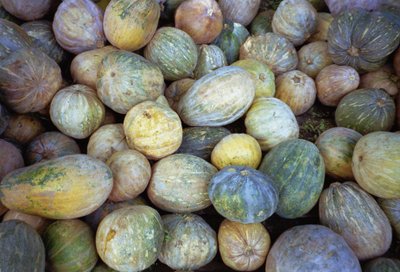 Melons, 1995 by Unbekannt Unbekannt